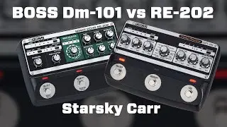 Boss Dm-101 vs RE-202 // What's the difference?