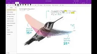 How to Become a Microsoft Onenote Expert ? Detailed Tutorial #Onenote