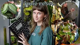 🌿 prepping for a trade, automating grow lights, upgrading hoya trellises, + more!! june reset 🌿