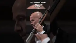 Classical Music You’ve Heard But Don’t Know the Name of