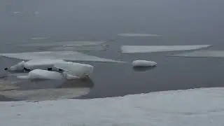 Видео для релаксации))