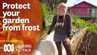 How to protect your garden from frost and cold weather | Gardening 101 | Gardening Australia