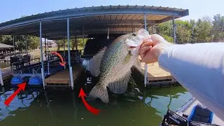 How TO Catch LATE SUMMER Crappie On BOAT DOCKS!! (Presented by @midwayusa)