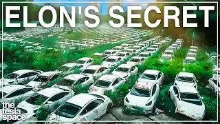 Elon Musk Isn't Telling You Something About The 25K Tesla...