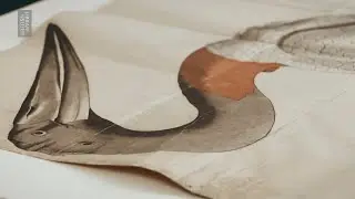 The bird stored folded for 200 years | In the Conservation Studio | British Library