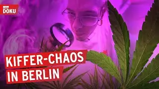 Ärger um den legalen Anbau von Cannabis | Kiffer-Chaos in Berlin | rbb24 Reportage