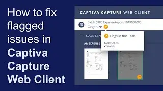 How to fix flagged issues in Intelligent Capture Web Client | OpenText Intelligent Capture