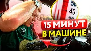 ЖЕСТЬ! ВОТ, что происходит с людьми в машине в ЖАРУ 🆘