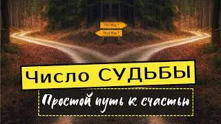 НУМЕРОЛОГИЯ: число жизненного пути 🟣 Число Судьбы