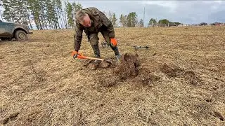 Сколько лет копаю это поле и все равно, находки - есть.