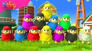 Baa Baa Black Sheep Song | BluLoo Nursery Rhymes & Kids Songs