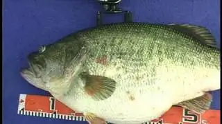 Manabu Kurita World Record Largemouth Bass