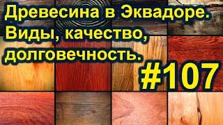 Древесина в Эквадоре. Качество, виды, долговечность. 