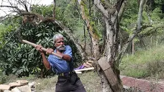 The Chulha King from Caura