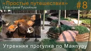 Простые путешествия #8 - Маяпур: Утренняя прогулка, Гошала, Институт и др.