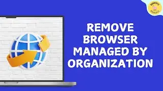 Remove the Your Browser is Managed by Your Organization Message in the Google Chrome Settings