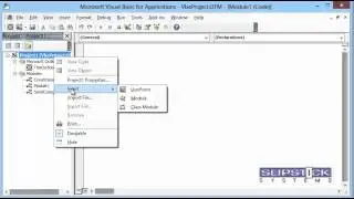 Add a VBA Macro to the VBA Editor