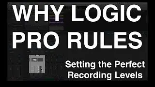 Setting the Perfect Recording Levels in LPX