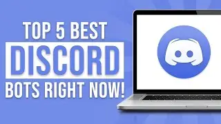 Top 5 Discord Bots For Your Discord Server (2023)