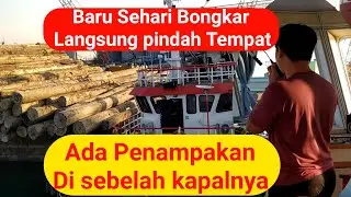 BARU SEHARI BONGKAR MUATAN LANGSUNG DI SURUH PINDAH TEMPAT SAMA AGEN