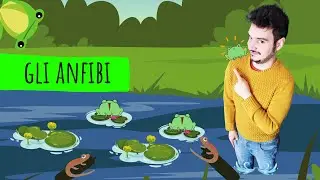 VERTEBRATI #2 - GLI ANFIBI - Le scienze spiegate ai bambini di scuola primaria