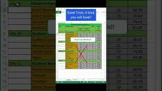 Excel Trick: A trick you will love!!