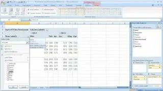 How to use PivotTable filters in Excel 2007 (Excel 07-109)