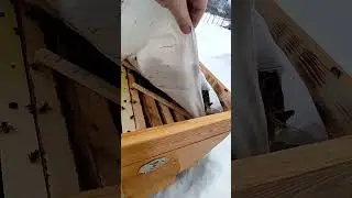 Зимовка пчел на улице 