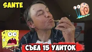 СЪЕЛ С УДОВОЛЬСТВИЕМ 15 УЛИТОК АХАТИНА