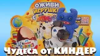 ОЖИВИ ИГРУШКИ С APPLAYDU / ЧУДЕСА ОТ КИНДЕР СЮРПРИЗ / КОНТРОЛЬНАЯ АВОСЬКА