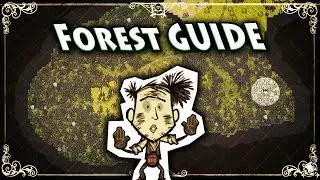 Beginner's GUIDE to the FOREST BIOME - Don't Starve Together