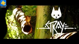 Stray on Playstation 4 - PKGPS4.click