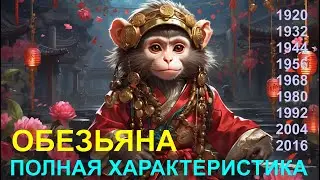 ⚜ Полная характеристика рожденных в год 🐵 Обезьяны ⚜