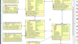 APEX 19.1 22 Create page groups to organize the application web pages.