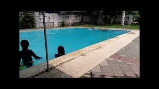 laughtrip Racing game😂😂😂