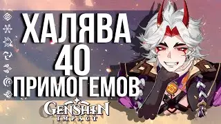 40 ХАЛЯВНЫХ ПРИМОГЕМОВ ЗА 1 МИНУТУ В GENSHIN IMPACT! НОВЫЙ ВЕБ ИВЕНТ С ИТТО!