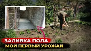 Бетонирую пол в пристройке / Обзор грядки: мой первый урожай!