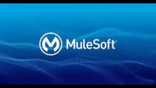 Mule working session with MySQL database convexity