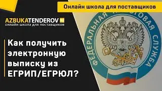 Как получить электронную выписку из ЕГРИП/ЕГРЮЛ на сайте налоговой?