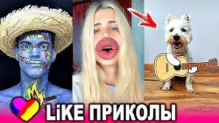 ЛУЧШИЕ ВИДЕО ЛАЙК 2019 Подборка | ПРИКОЛЫ Like Самые Няшные и Прикольные Видео