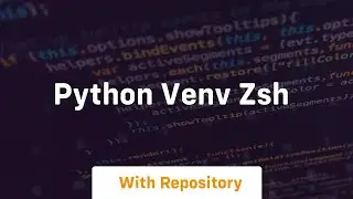 python venv zsh