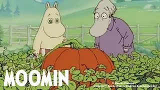 The Bubbles & The Giant Pumpkin | Moomin 90s | DOUBLE FULL EPISODE