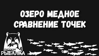 Озеро медное. Сравнение точек. Фарм серебра. Русская рыбалка 4.