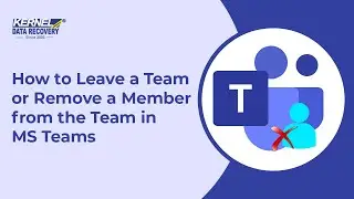 How to Leave a Team or Remove a Member from the Team in MS Teams