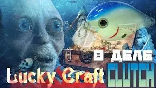 Lucky Craft Clutch в деле - KF №28
