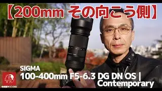 #599 「SIGMA 100-400mm F5-6.3 DG DN OS | Contemporary」 超望遠ズームレンズの入門に最適の銘玉 手振れ補正機構もかなり優秀です