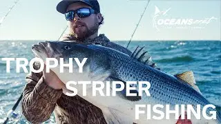 TUTORIAL: How To Catch STRIPED BASS (ROCKFISH) On Water Demo