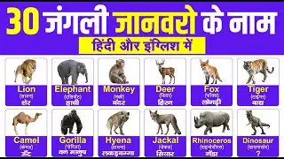 30 wild animals name in hindi and english । 30 जंगली जानवरों के नाम । animals name with picture