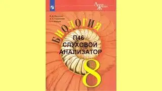 П46 СЛУХОВОЙ АНАЛИЗАТОР, БИОЛОГИЯ 8 КЛАСС, АУДИОУЧЕБНИК, СЛУШАТЬ АУДИО ОНЛАЙН, ОБРАЗОВАНИЕ В РОССИИ