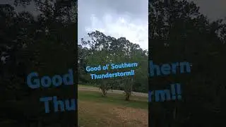 Thunderstorms! #thunderstorms #asmr #thundersounds #southern #rainstorm #sounds #mississippi